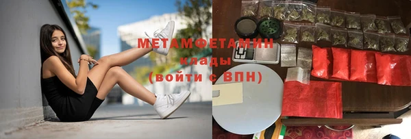 трава Бородино