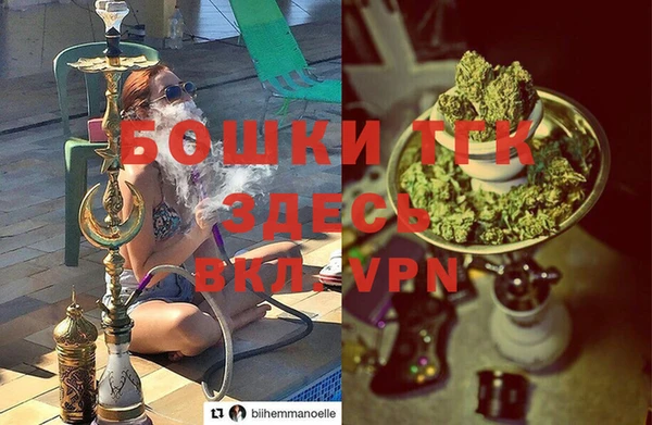 трава Бородино